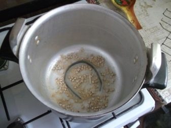 Коптильня из газового баллона своими руками: чертежи и схемы Коптильня из газового баллона своими руками: чертежи и схемы