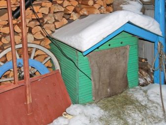 Как утеплить будку собаке на зиму своими руками Как утеплить будку собаке на зиму своими руками