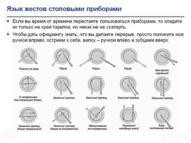 Правила столового этикета