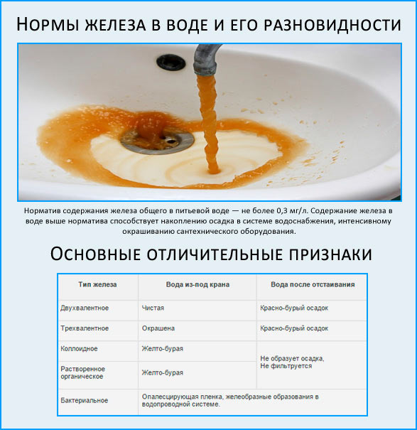 Фильтр для воды от железа для дачи: виды, как сделать своими руками Фильтр для воды от железа для дачи: виды, как сделать своими руками