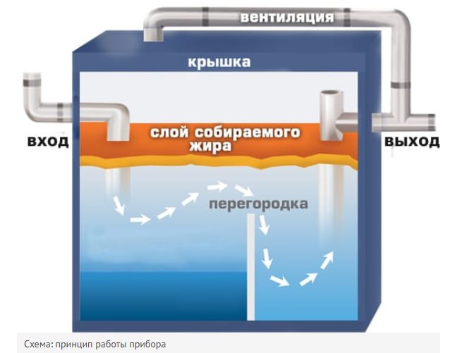Выбор и установка жироуловителя под раковину: принцип работы и сравнение моделей Выбор и установка жироуловителя под раковину: принцип работы и сравнение моделей