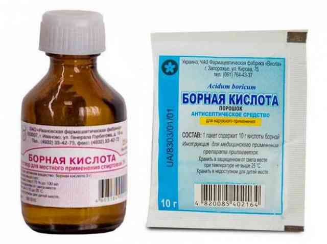 Какой утеплитель не грызут мыши и крысы: обзор материалов для защиты от грызунов Какой утеплитель не грызут мыши и крысы: обзор материалов для защиты от грызунов