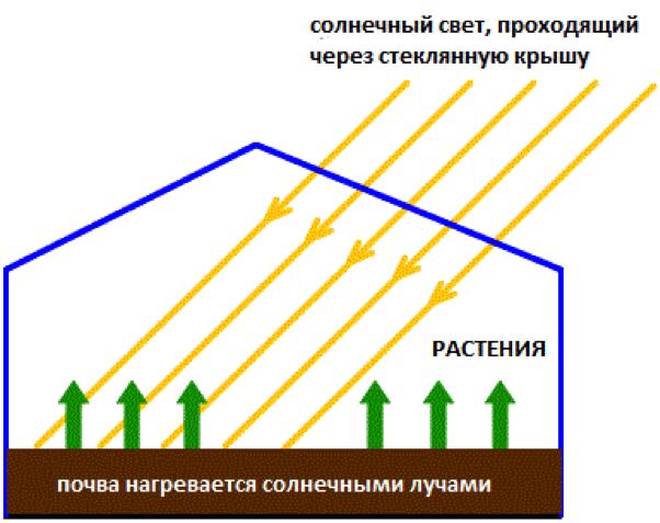Теплица для зимнего выращивания овощей: как сделать своими руками с обогревом fed5d4b7d821c4bab555da1e3199f19f.jpg