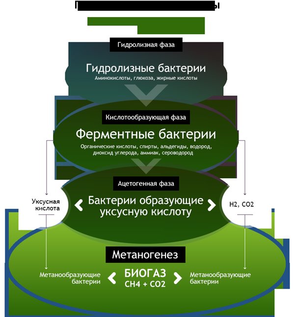 Биогаз из навоза своими руками: как получить биогаз в домашних условиях Гидролизные