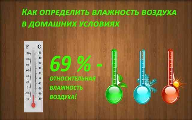 Прибор для измерения влажности воздуха: определение, устройства и виды