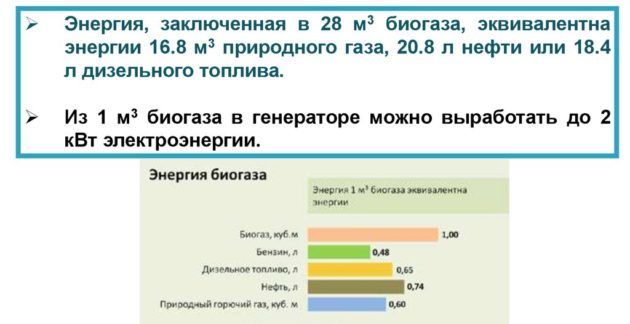 Биогаз из навоза своими руками: как получить биогаз в домашних условиях Состав биогаза