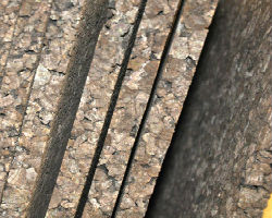Натуральные пробковые утеплители Termocork Натуральные пробковые утеплители Termocork