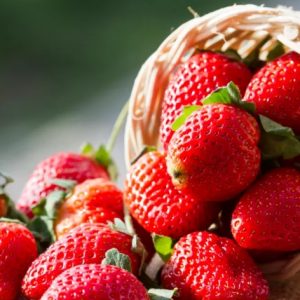 Клубника прямо у вас дома Клубника прямо у вас дома