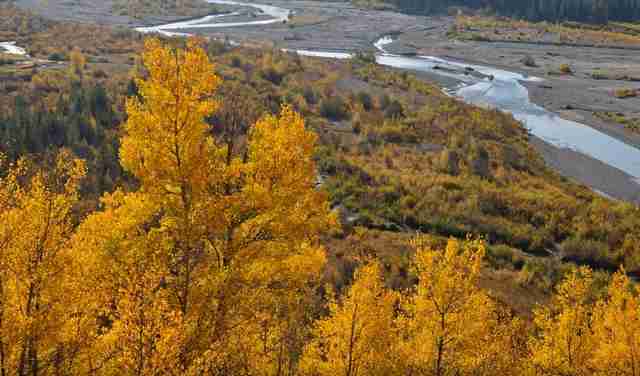 Американская золотая осень