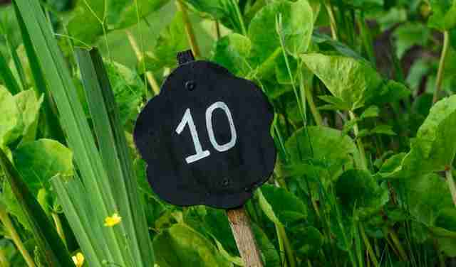 Почему число 10 имеет такое значение?