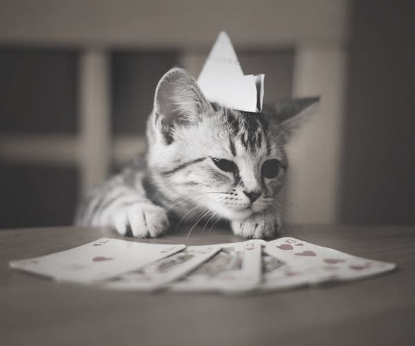 Какие игры называют азартными?