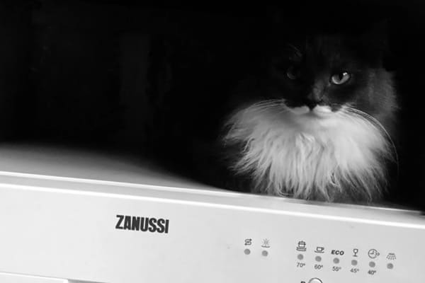 Недостатки Zanussi