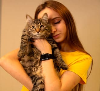 Что такое отель для передержки животных? Что такое отель для передержки животных?