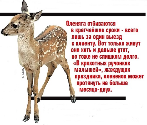 Праздник со слезами на глазах Праздник со слезами на глазах