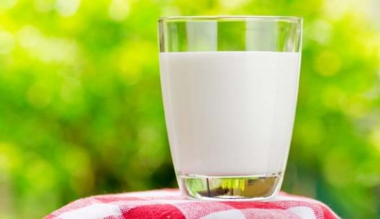Оборудование для изготовления молочной продукции