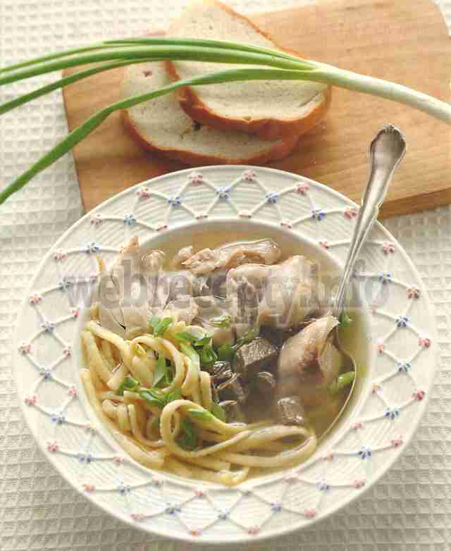 Куриный суп с лапшой - фото Kurinyj-sup-s-lapshoj-foto