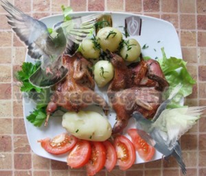 golubjatina-v-sobstvennom-soku-s-ovoshhami