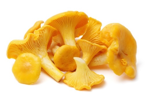 Лисички lisichki